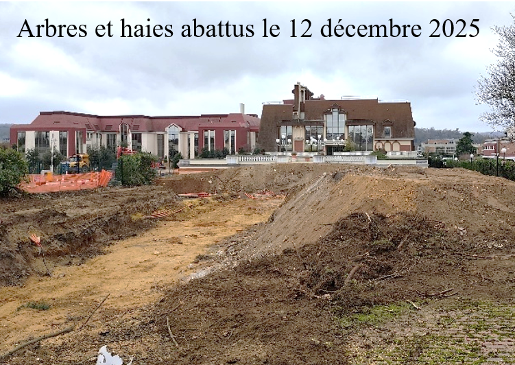 actualites-110
